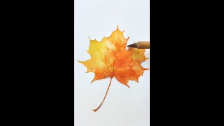 【水彩丨watercolor painting for beginners easy and simple】水彩零基礎教學 水彩楓葉的畫法#shorts