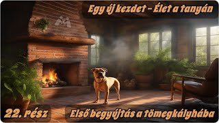 Egy új kezdet - Élet a tanyán  - Első begyújtás a tömegkályhába |22. rész|