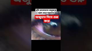 ভালোবাসা মানুষ যদি হঠাৎ করে ব্যস্ত দেখায়