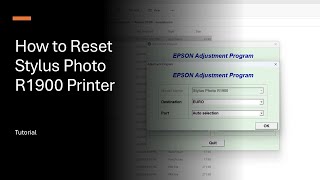 How to Reset Epson Stylus Photo R1900 Printer