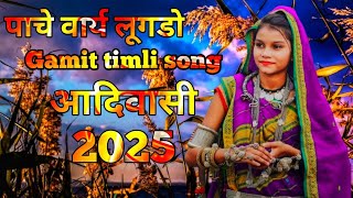 पाचे वार्य लूगडो आदिवासी Gamit timli song 2025 # आदिवासी # Rahul naik you t