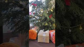 ВЛОГМАС 26 декабря #влогмас #vlogmas #скороновыйгод #завтрак #адвенткалендарь #адвент