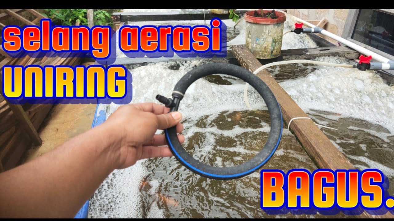 Pentingnya Aerasi Yang Cukup - YouTube