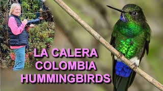 Hummingbirds of Colombia at Observatorio de Colibríes in La Calera