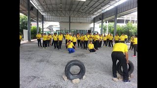 เทคนิคการคุมลูกเปตองอย่างมืออาชีพ