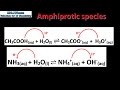 8.1 Amphiprotic species (SL)