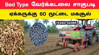 Bed Type கடலை சாகுபடி முறை | ஒரு ஏக்கரில் 80,000 ஆயிரம் வரை லாபம் | A - Z | Tamil