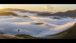 10 minutes Beautiful Relaxing Music, Peaceful Soothing Instrumental Music,