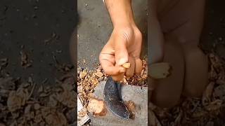 ১ মিনিটে কাঠ বাদাম কাটার সহজ উপায়। Easy wood nuts #viral #viralvideo #shortsvideo #কাঠবাদাম #viral