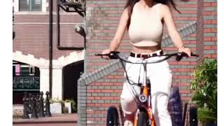 Electric Tricycle With Pedal Assist Mode and 330 lbs. Capacity from SuperHandy