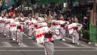 よさこい連・伊呂波