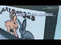 WALAI RABBITS KG TUNGGUNG KOTA MARUDU MANTULLL...