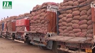 ভারতের পেঁয়াজে নিষেধাজ্ঞা প্রত্যাহার, উদ্বিগ্ন চাষীরা