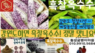 강원도하면 흑찰옥수수 정말 맛나요