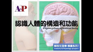 解剖學和生理學摘要 I Ep 1. 人體的構造與功能  (A&P synopsis I Organization of human body)