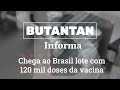 Butantan Informa - Chega ao Brasil lote com 120 mil doses da vacina