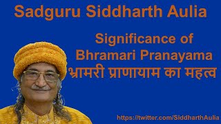 Significance of Bhramari Pranayama (भ्रामरी प्राणायाम का महत्व): Sadguru Siddharth Aulia