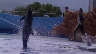 アドベンチャーワールド　ﾏﾘﾝﾗｲﾌﾞ🐬(2016/10/23)