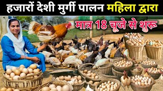 हजारों‌ देशी मुर्गी पालन महिला‌ द्वारा। Deshi Poultry by women। Deshi Murgi Palan Amgaon Maharashtra