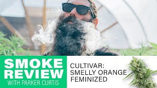 Reviewing Smelly Orange with Parker Curtis and The Homegrown Cannabis Co.