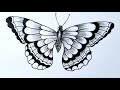 How to draw a butterfly easy step by step for beginners || Butterfly tattoo