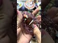 石之靈soul stone 天然水晶 超七 閃靈鑽 極光23 能量解說 七脈輪療癒