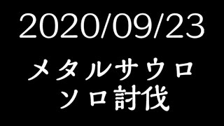 【ASRAM】｢新シルバーレイド400 グラソロ｣イルーナ戦記【IRUNA ONLINE】