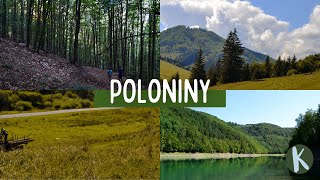 National Park Poloniny, Water reservoir Starina and the Old Forest in Slovakia | Krekofukra Travel