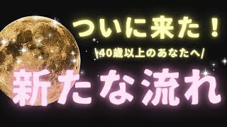 【40歳以上のあなたへ】覚醒の時🤩押し寄せる新たな流れ✨ネコ乱入🐾