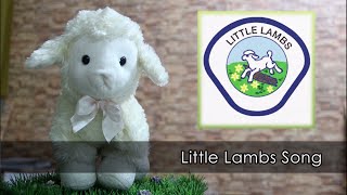 Little Lambs Theme Song (AEC)