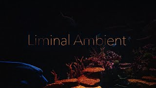 Liminal Ambient + Aquarium  • Work Club