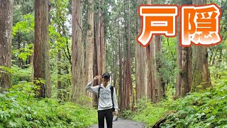 【野鳥観察】戸隠神社＆戸隠森林植物園を探索！パワーを貰ってきました