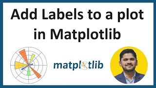6. How to add labels to a plot in Matplotlib | Python Matplotlib Tutorial for Beginners |Amit Thinks