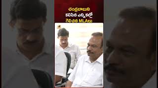 చంద్రబాబుని కలిసిన ఎన్నికల్లో గెలిచిన MLAలు | #Chandrababu | #YTShorts | AP Politics | Mango News