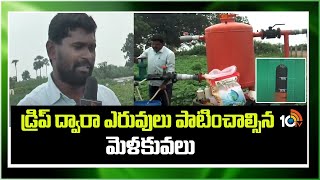 Drip Irrigation | డ్రిప్ ద్వారా ఎరువులు  పాటించాల్సిన మెళకువలు | Matti Manishi | 10TV News