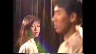 彭羚/莫鎮賢 - 兩地情MTV(1991)