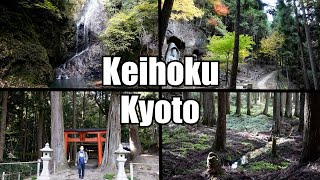 The magical, mysterious Kuzu shrine in the beautiful cedar forest, Keihoku,Kyoto-Japan, 九頭神社　京北　京都市