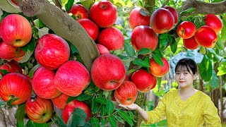 Process making cook apple pie super delicious - 2 years harvest \