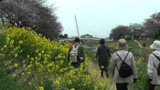 JR東海さわやかウォーキング　牛久保駅　2011/04/03