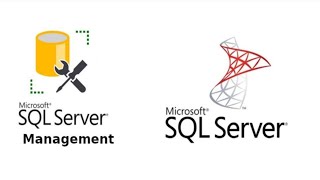 3. SQL SELECT & SELECT DISTINCT Statement