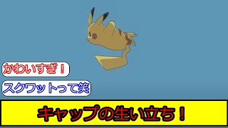 アニメポケモンのリコロイ編１８話終了！キャップことピカチュウの生い立ちに関する皆の反応集【ポケモン5ch】