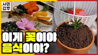 [선공개] 건강부터 맛까지 다~ 생각해낸 갑부의 허브 음식들 대 출동! | 서민갑부 380 회