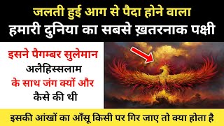 Real History Of Phoenix (Fire Bird) । सुलेमान अलैहिस्सलाम और ताक़तवर पक्षी की कहानी - R.H Network