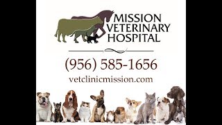 Welcome to Mission Veterinary Hospital