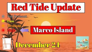 Red Tide Update \u0026 Taz The Cat Christmas Eve Marco Island News