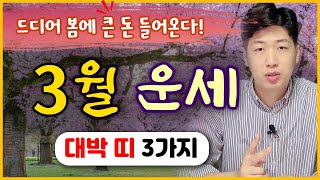 [띠별 운세] 양력 3월 봄!! 드디어 큰 재물이 들어오는 대박 띠 3가지 !!