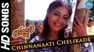 Yagnam Movie - Chinnanaati Chelikade Video Song || Gopichand || Mani Sharma