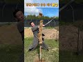 진검베기 짚단 예도 응용 베기 2 straw cuttingskills swordsmanship martialarts korea sword