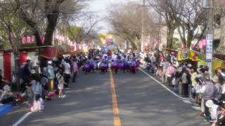 2024.みつわ台桜祭り(2023.)CHlよREN北天魁／SONY  ZV E-10