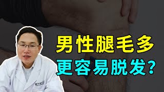 【毛发问题】男性腿毛多更容易脱发？这种说法有科学依据吗？雍禾植发|马晓阳医师